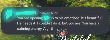 Review 11 Skee Tarot, Tarot Healer Skee, Reading Review